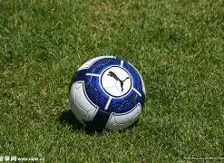 阿修罗彩神,双色球,期独门绝杀,500彩票网官网,500彩票网平台,500彩票网,500彩票网体育机构,500彩票网赛事集团,500彩票网直播官方