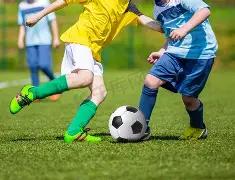 彩运亨通,年双色球第,期精选凤尾,500彩票网官网,500彩票网平台,500彩票网,500彩票网体育机构,500彩票网赛事集团,500彩票网直播官方