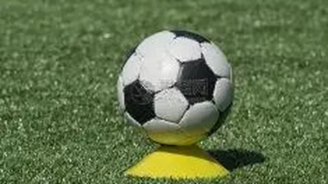 【彩市先锋】揭秘2025140期双色球头尾神预测：龙头30，凤尾33，独家速递！