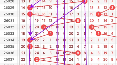 3D第2026047期专家推荐拖码胆码，仅供参考