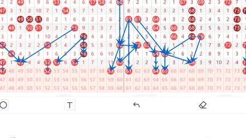 【袁天罡独家揭秘】大乐透26012复式追号攻略，专业解析，不容错过！