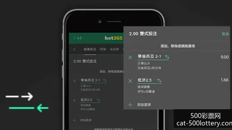 国安签巴西前锋费尔南多，引援窗口开启忙